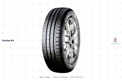 Ficha técnica Dunlop r1