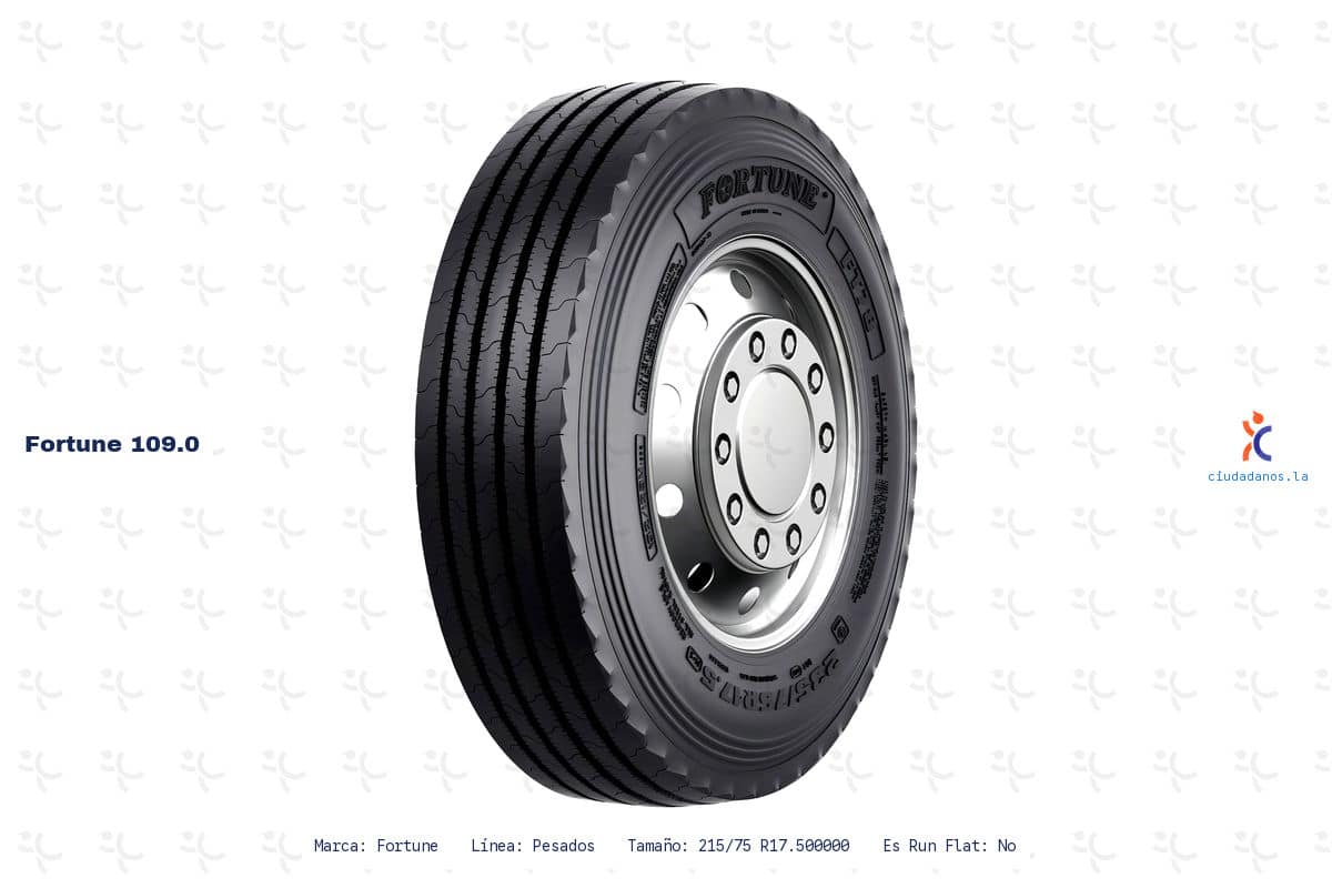 Ficha tecnica Fortune 109.0