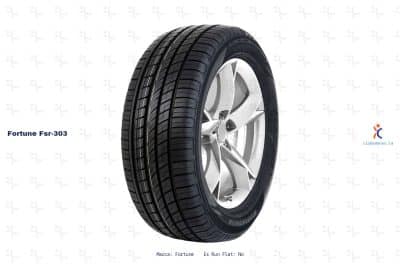 Ficha técnica Fortune fsr-303