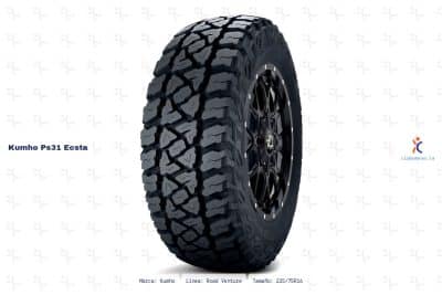 Ficha técnica Kumho ps31 ecsta